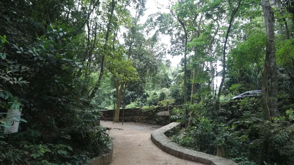 inicio da trilha da cachoeira do chuveiro - pracinha - horto - vamos trilhar