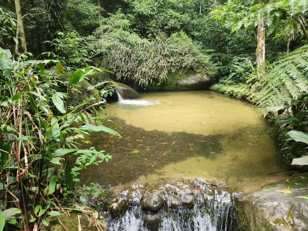 Cascata Gabriela (Floresta da Tijuca) - 33 cachoeiras imperdíveis na cidade do Rio de Janeiro - Vamos Trilhar