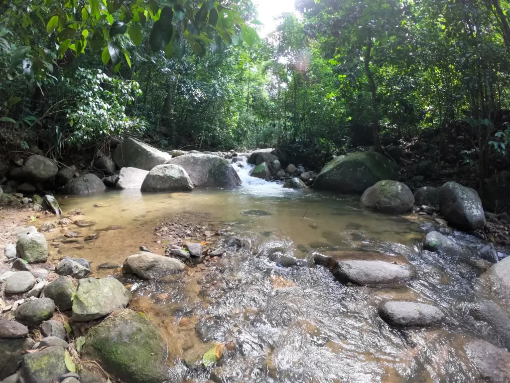 Poço da Preguiça (Pau da Fome) - 33 cachoeiras imperdíveis na cidade do Rio de Janeiro