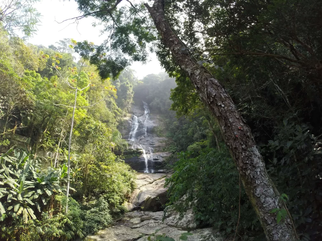 Cascatinha Taunay - Floresta da Tijuca - Vamos Trilhar