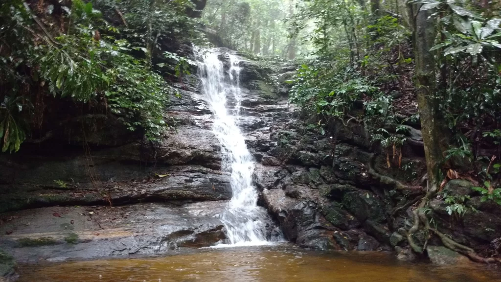 Parte baixa da Cascata Diamantina - Floresta da Tijuca - Vamos Trilhar