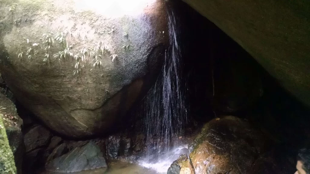 Roteiro da trilha da Cascata Diamantina - Floresta da Tijuca - RJ - Vamos Trilhar