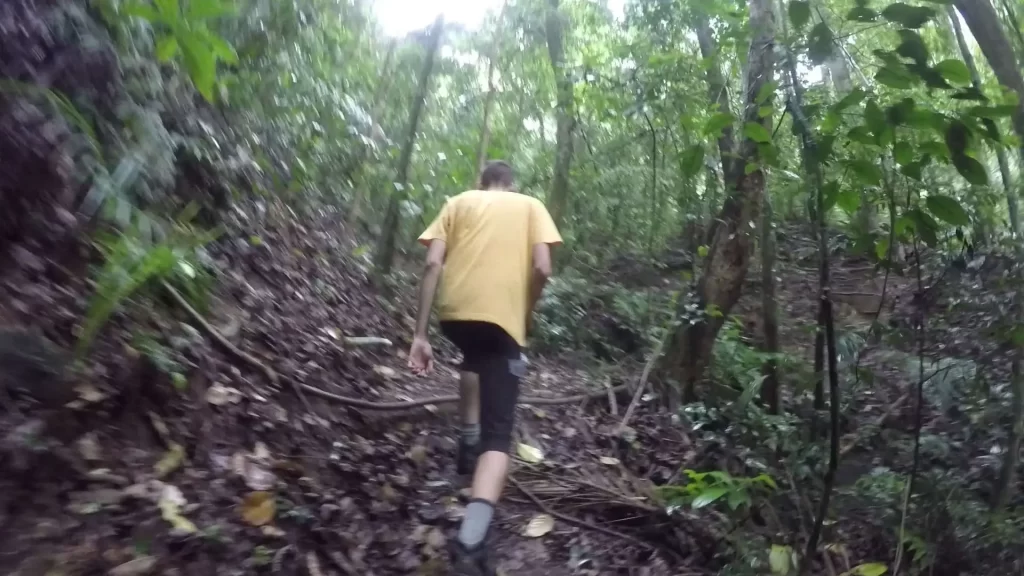 Trilha da Cascata Diamantina - Floresta da Tijuca - Vamos Trilhar