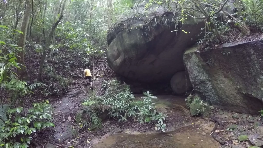 Trilha da Cascata Diamantina - Gruta Gabriela - Floresta da Tijuca - Vamos Trilhar