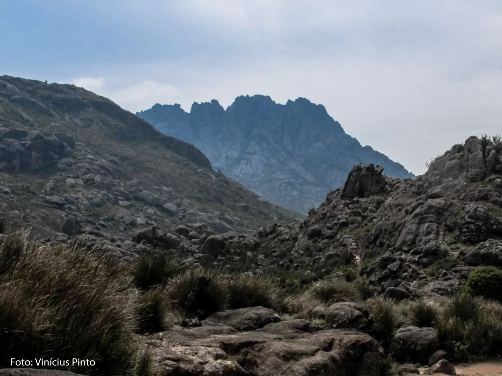 Conheça tudo sobre o Pico das Agulhas Negras - RJ - Vamos Trilhar