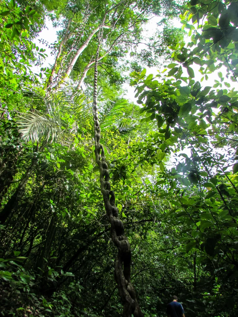 escorrega-macaco-taquarucu-tocantins-vamos-trilhar