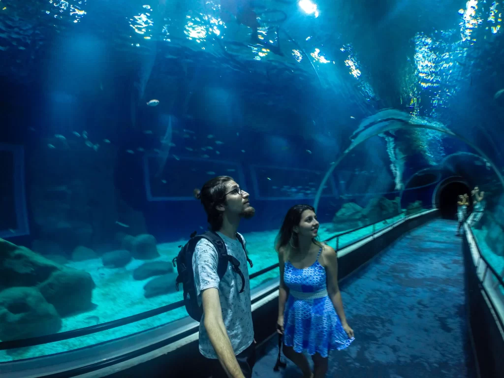 Conheça tudo sobre o AquaRio (Aquário Marinho do Rio de Janeiro) - Vamos Trilhar