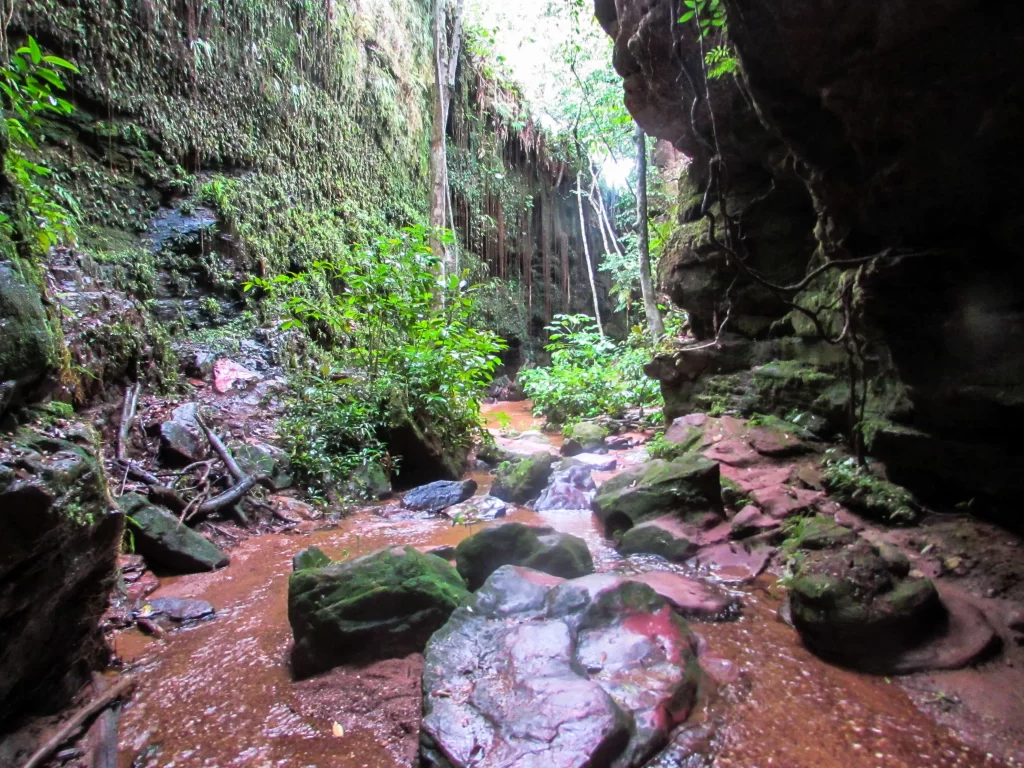 conheca-tudo-sobre-o-canyon-sussuapara-no-jalapao-to-vamos-trilhar