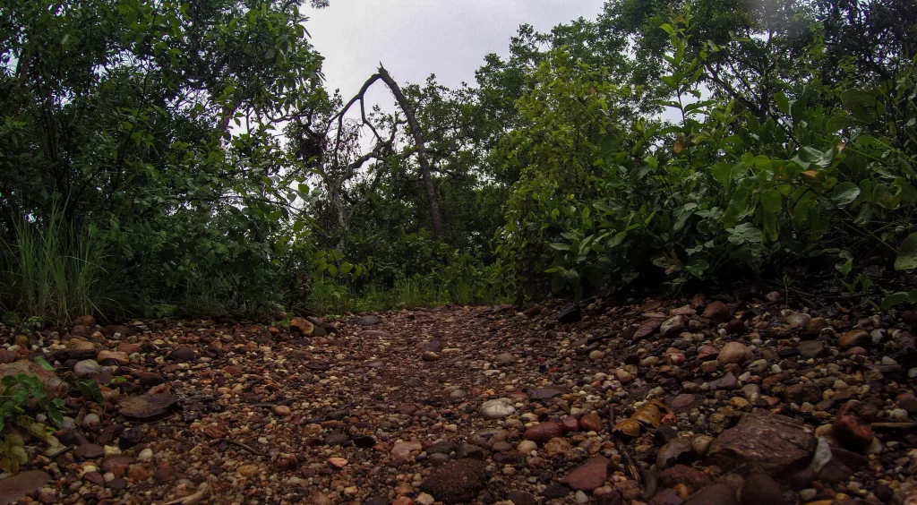 Trilha para o Canyon Sussuapara - Jalapão - TO - Vamos Trilhar