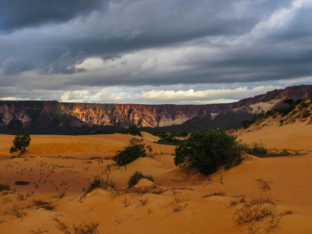 Conheça tudo sobre as Dunas do Jalapão e a Lagoa dos Jacarés - TO - Vamos Trilhar