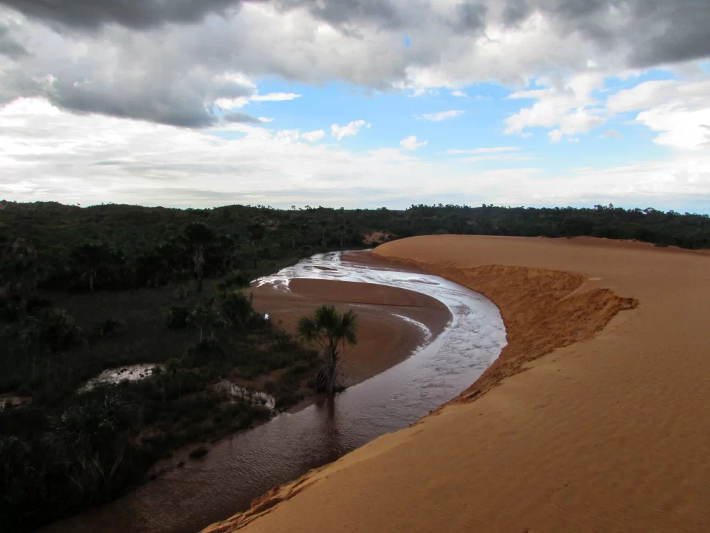 Você já ouviu falar no Jalapão O Deserto das Águas - Vamos Trilhar