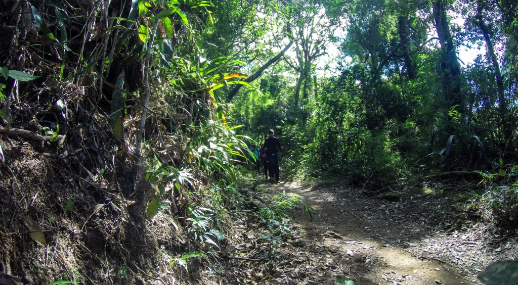 A volta da trilha da Pedra do Sino - Serra dos Órgãos - Vamos Trilhar