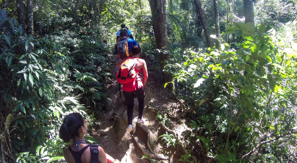 Bifurcação na trilha da Cachoeira do Mendanha - Vamos Trilhar