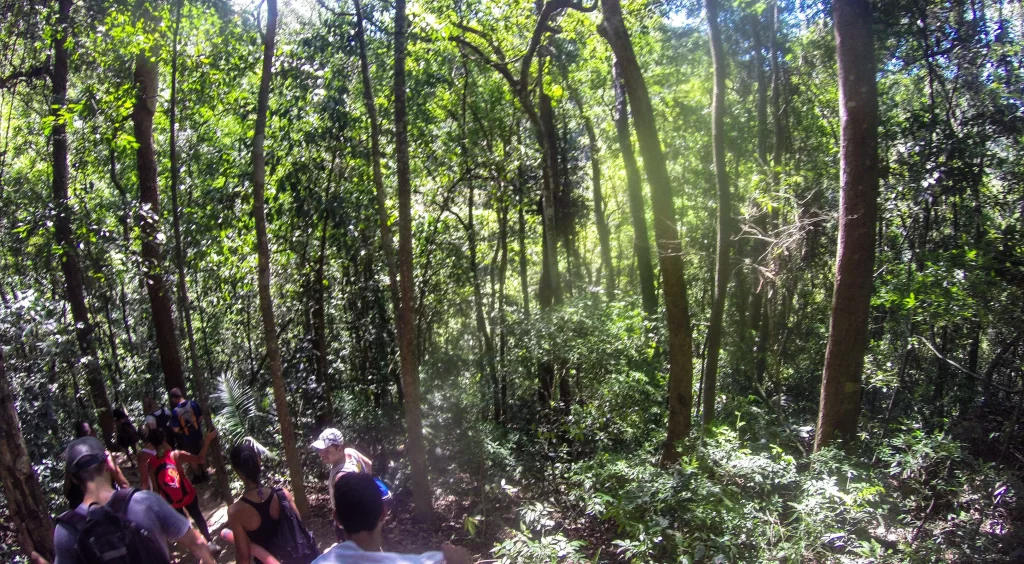 Descida para chegar na Cachoeira do Mendanha - Vamos Trilhar