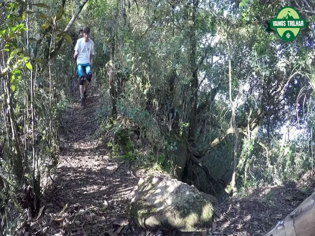 Caminho para o Bico do Papagaio via Serrilha - Vamos Trilhar