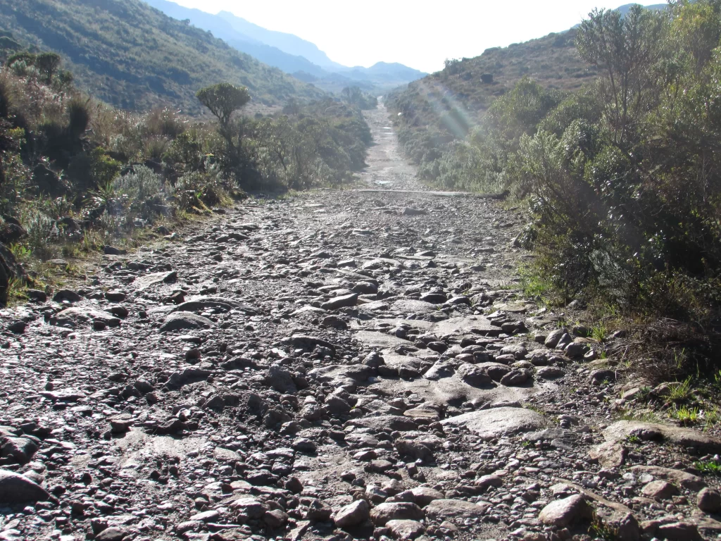 Estrada para o Abrigo e Camping Rebouças - Itatiaia - RJ - Vamos Trilhar