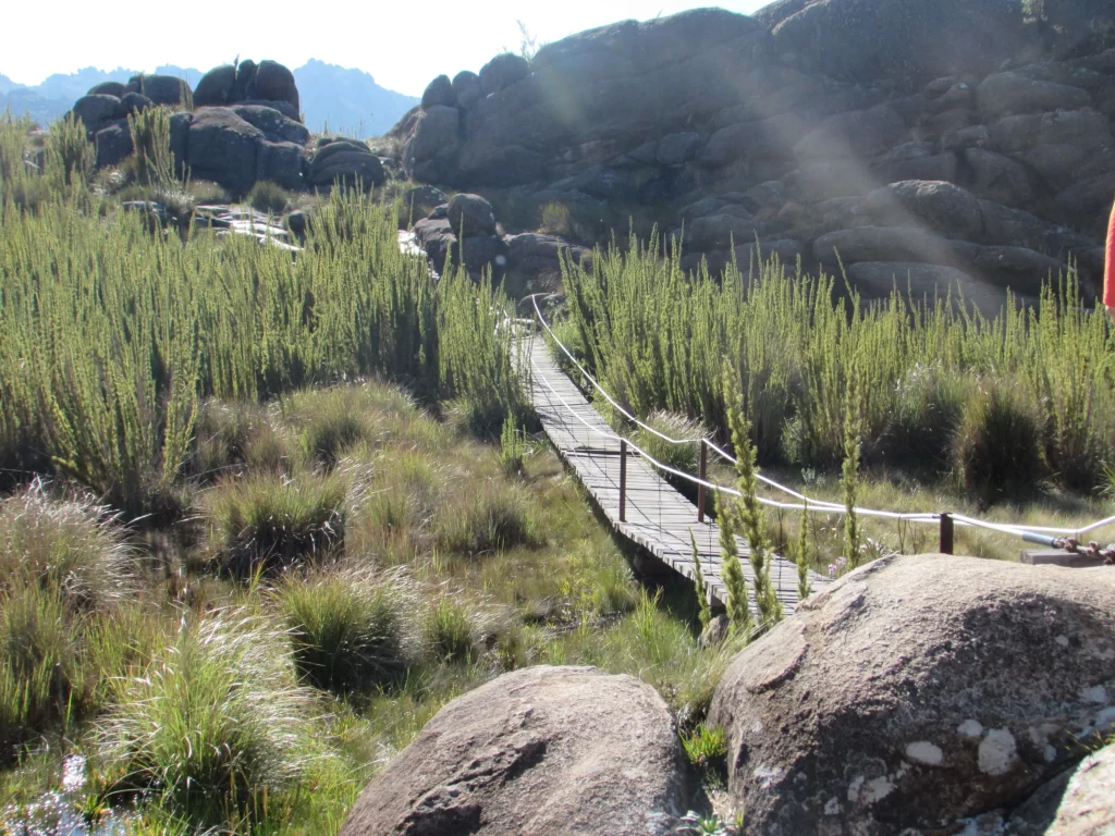 Ponte Pênsil - Itatiaia - RJ - Vamos Trilhar