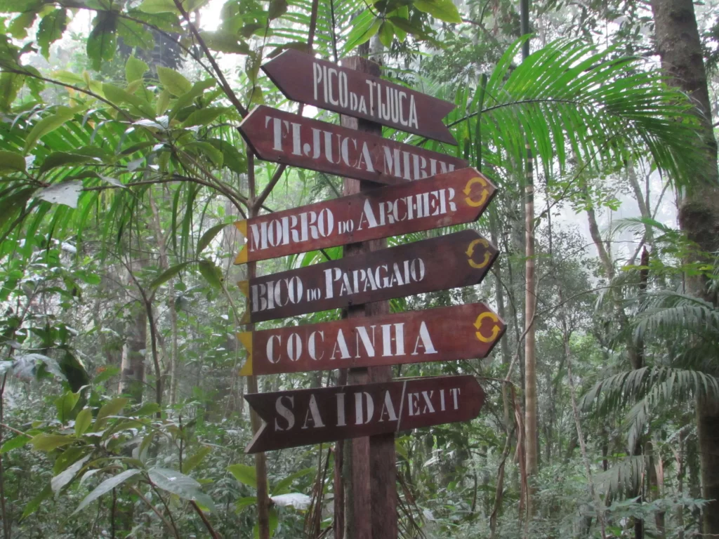 Primeira bifurcação da trilha da Serrilha do Papagaio - Floresta da Tijuca - Vamos Trilhar