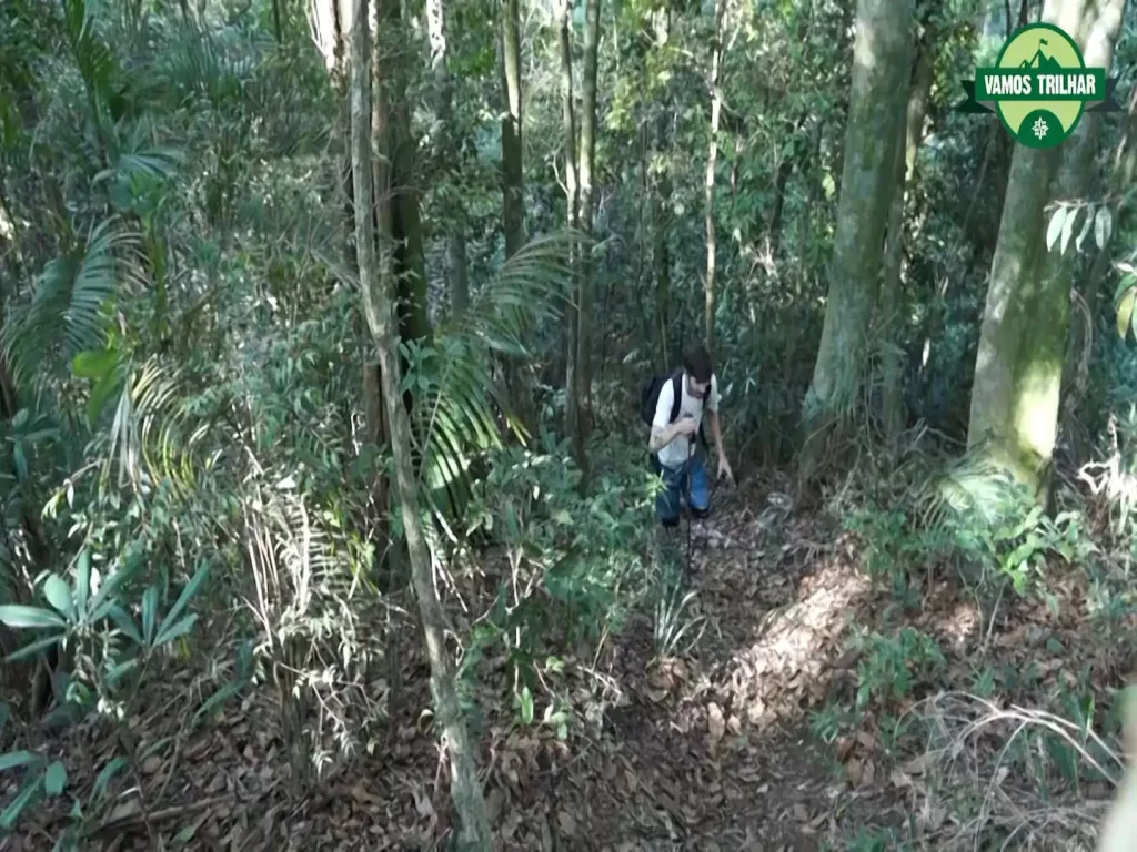 Subida íngreme da trilha da Serrilha do Papagaio - Floresta da Tijuca - Vamos Trilhar