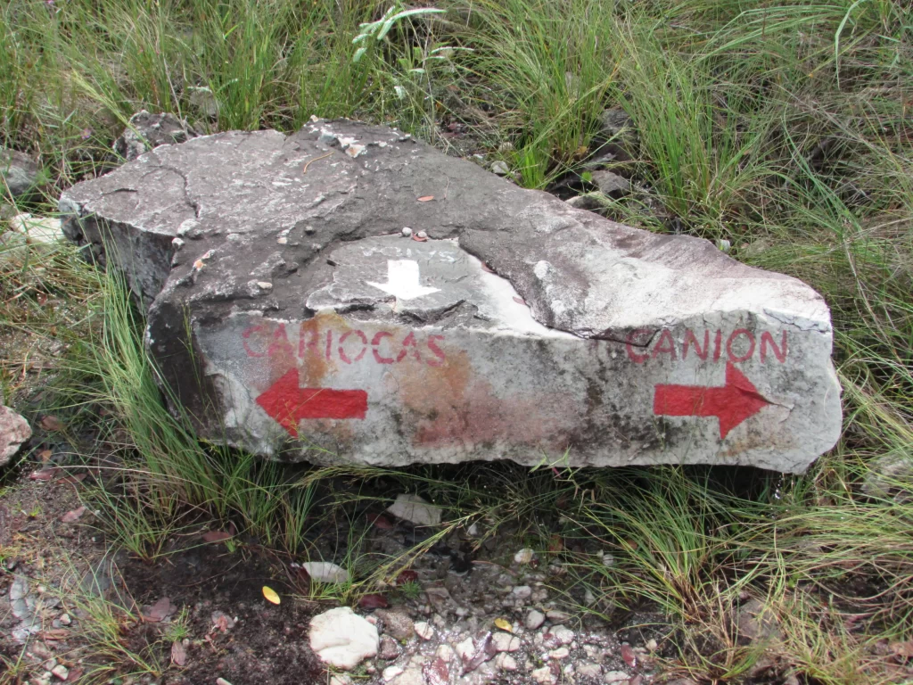 Bifurcação na trilha da Cachoeira Cariocas - Chapada dos Veadeiros - GO - Vamos Trilhar