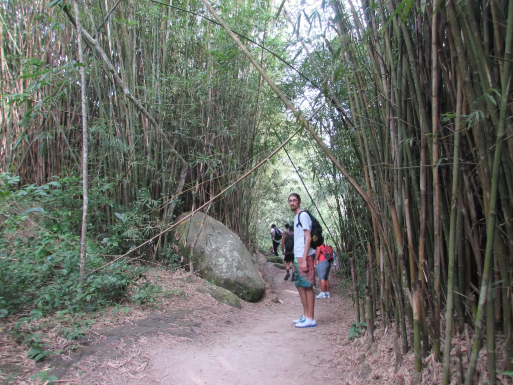 A trilha da Pedra do Telégrafo - RJ - Vamos Trilhar