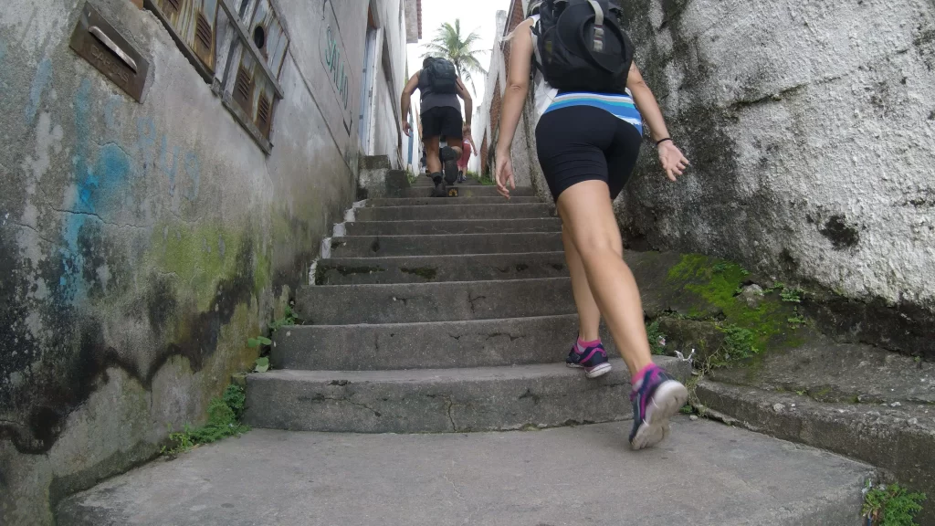 Início da trilha da Pedra do Telégrafo - RJ - Vamos Trilhar