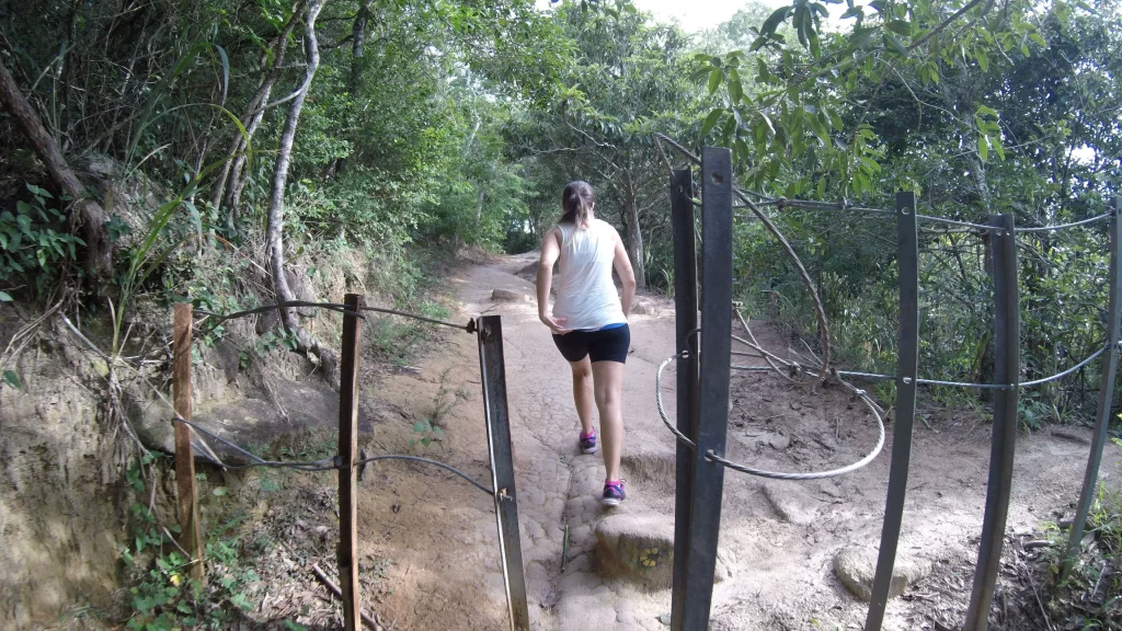 Passando a cerca da trilha da Pedra do Telégrafo - RJ - Vamos Trilhar