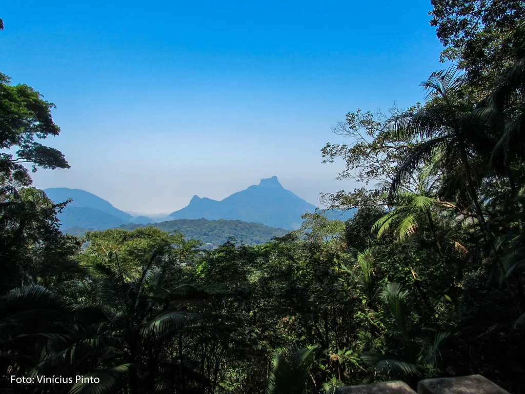 Vista do Almirante - Circuito das Grutas da Floresta da Tijuca - RJ - Vamos Trilhar