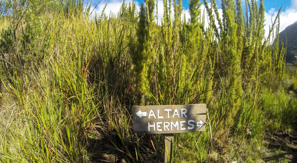 Bifurcação Pedra do Altar ou Asa de Hermes - Itatiaia - RJ - Vamos Trilhar-min