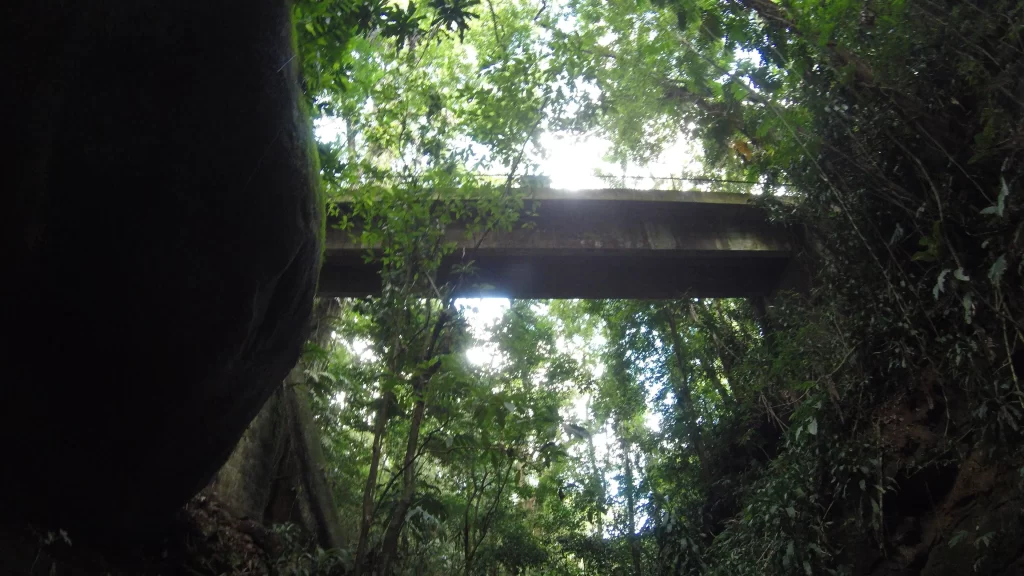 A Ponte da Baronesa - trilha da Cascata Baronesa - Floresta da Tijuca - RJ - Vamos Trilhar
