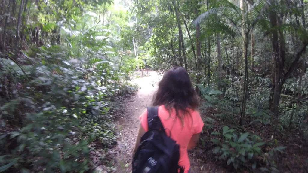 A trilha da Cascata Gabriela - Floresta da Tijuca - RJ - Vamos Trilhar