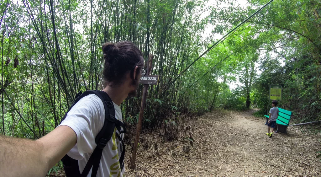 Bambuzal - trilha do Mirante do Sacopã e Mirante do Urubu - Parque da Catacumba - RJ - Vamos Trilhar