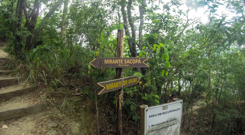 Bifurcação - trilha do Mirante do Sacopã e Mirante do Urubu - Parque da Catacumba - RJ - Vamos Trilhar