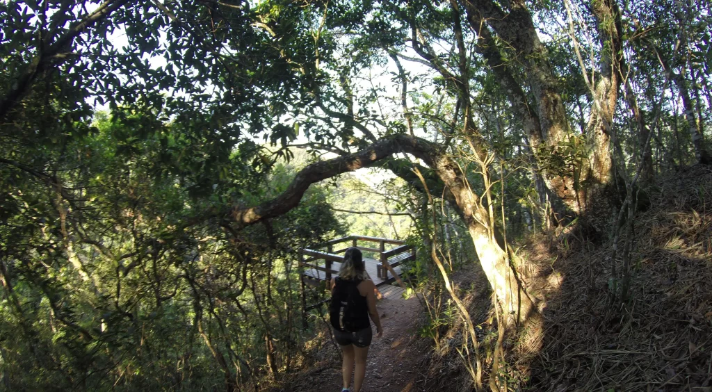 Chegando no Mirante da Cascatinha - trilha do Mirante da Cascatinha e Alto do Cruzeiro - Floresta da Tijuca - RJ - Vamos Trilhar-min
