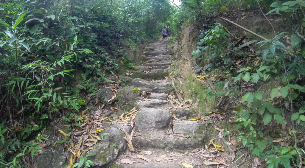 Escadaria na trilha do Mirante do Sacopã e Mirante do Urubu - Parque da Catacumba - RJ - Vamos Trilhar