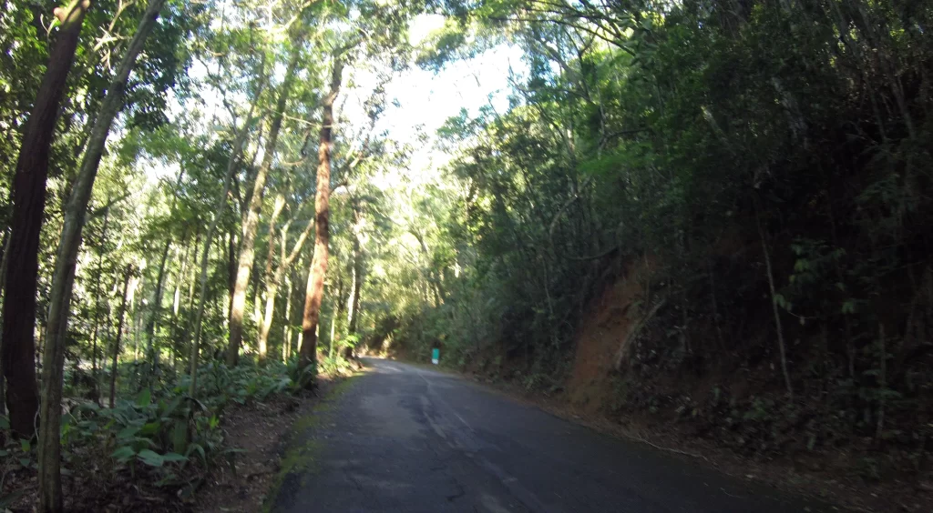 Estacionando o carro para a trilha do Mirante da Cascatinha e Alto do Cruzeiro - Floresta da Tijuca - RJ - Vamos Trilhar-min