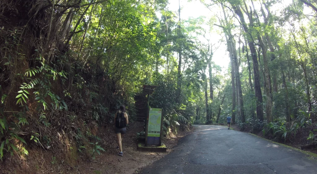 Início da trilha do Mirante da Cascatinha e Alto do Cruzeiro - Floresta da Tijuca - RJ - Vamos Trilhar-min