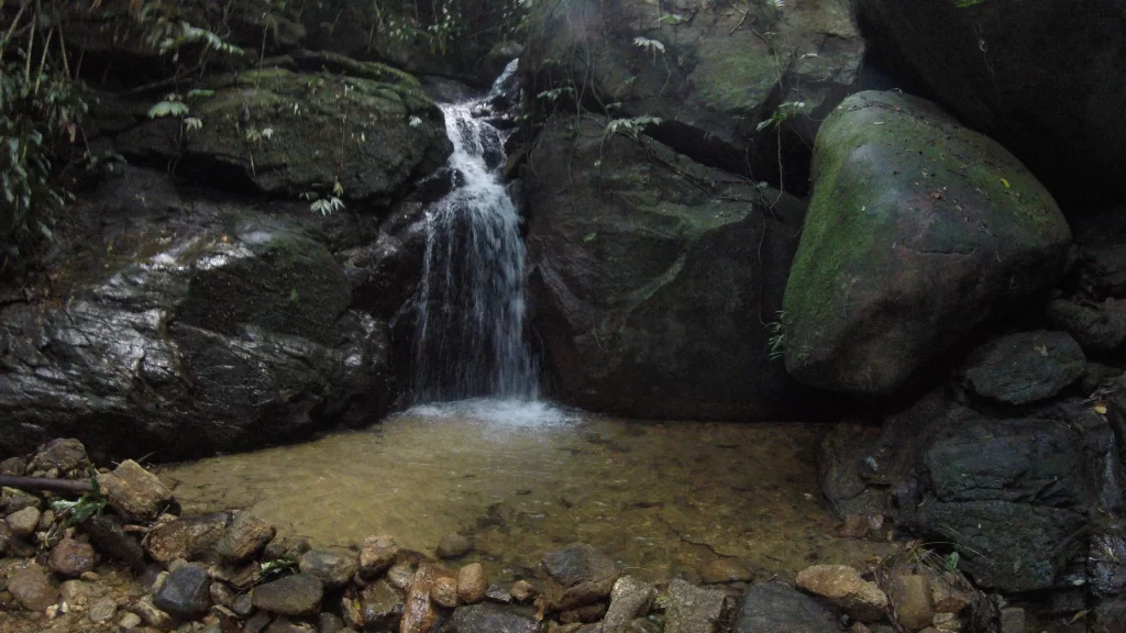 Roteiro da trilha da Cascata Baronesa - Floresta da Tijuca - RJ - Vamos Trilhar