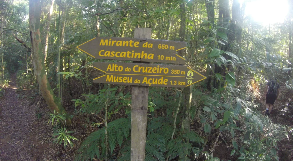 Segunda bifurcação - trilha do Mirante da Cascatinha e Alto do Cruzeiro - Floresta da Tijuca - RJ - Vamos Trilhar-min
