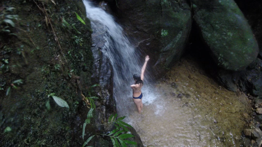 Sobre a Cascata Baronesa - Floresta da Tijuca - RJ - Vamos Trilhar