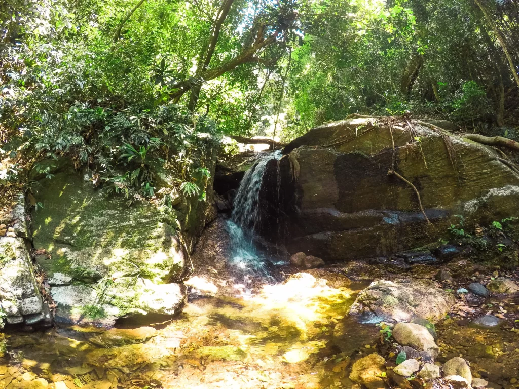 Roteiro da trilha da Cachoeira do Jequitibá - Horto - RJ - Vamos Trilhar