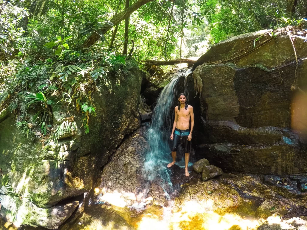 Sobre a Cachoeira do Jequitibá - Horto - RJ - Vamos Trilhar