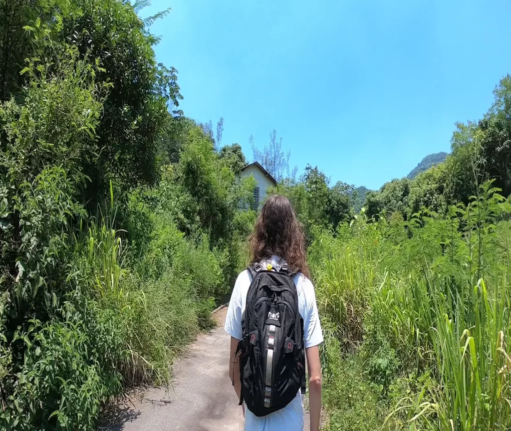 Estrada final da trilha da Cachoeira do Amor - Alto da Boa Vista (Floresta da Tijuca - RJ)- Vamos Trilhar