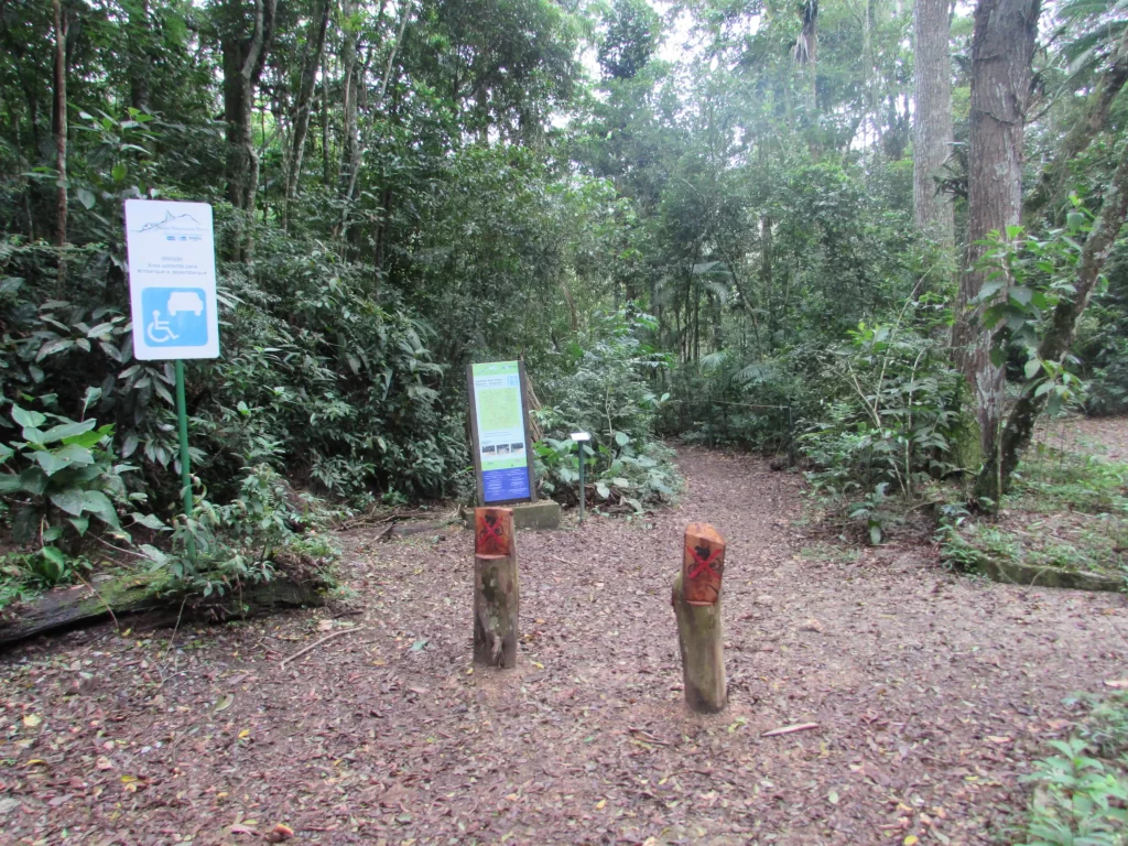 Início da trilha do Caminho Dom Pedro Augusto - Floresta da Tijuca - RJ - Vamos Trilhar