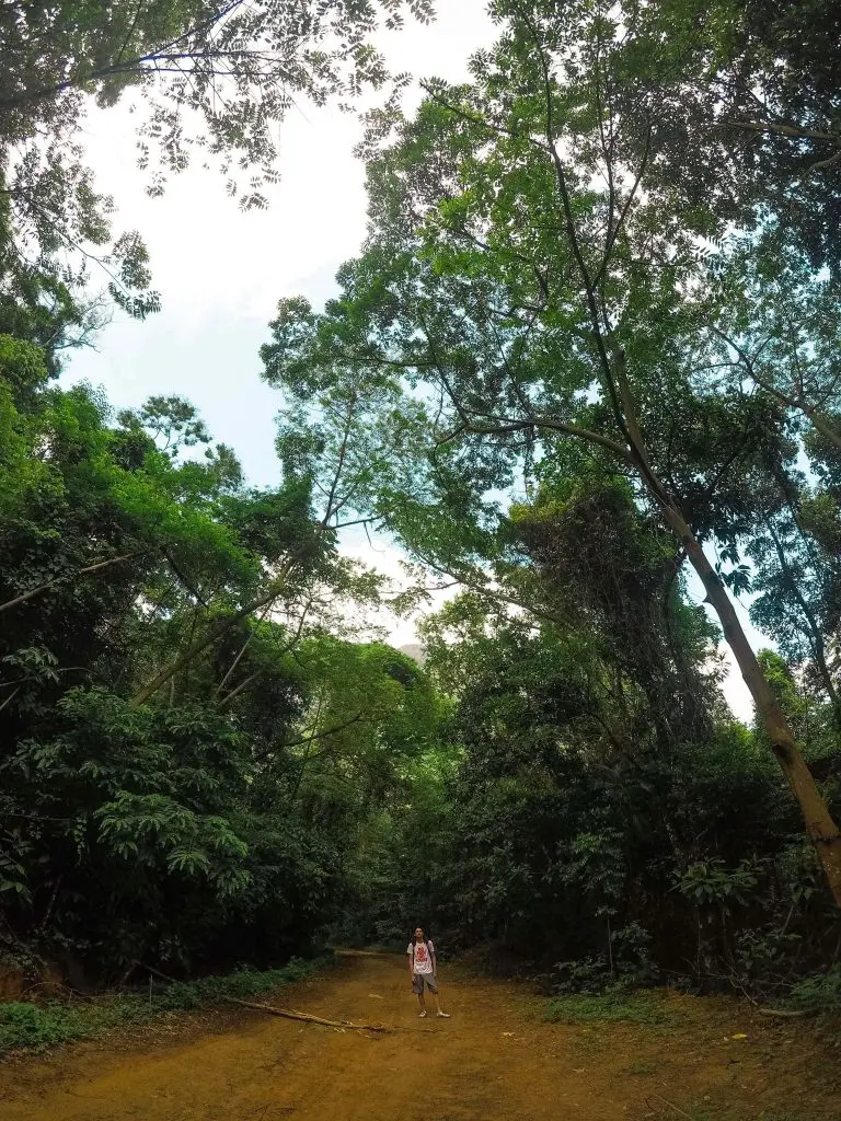 Estrada da trilha para Praia de Dois Rios - Ilha Grande - RJ - Vamos Trilhar-min