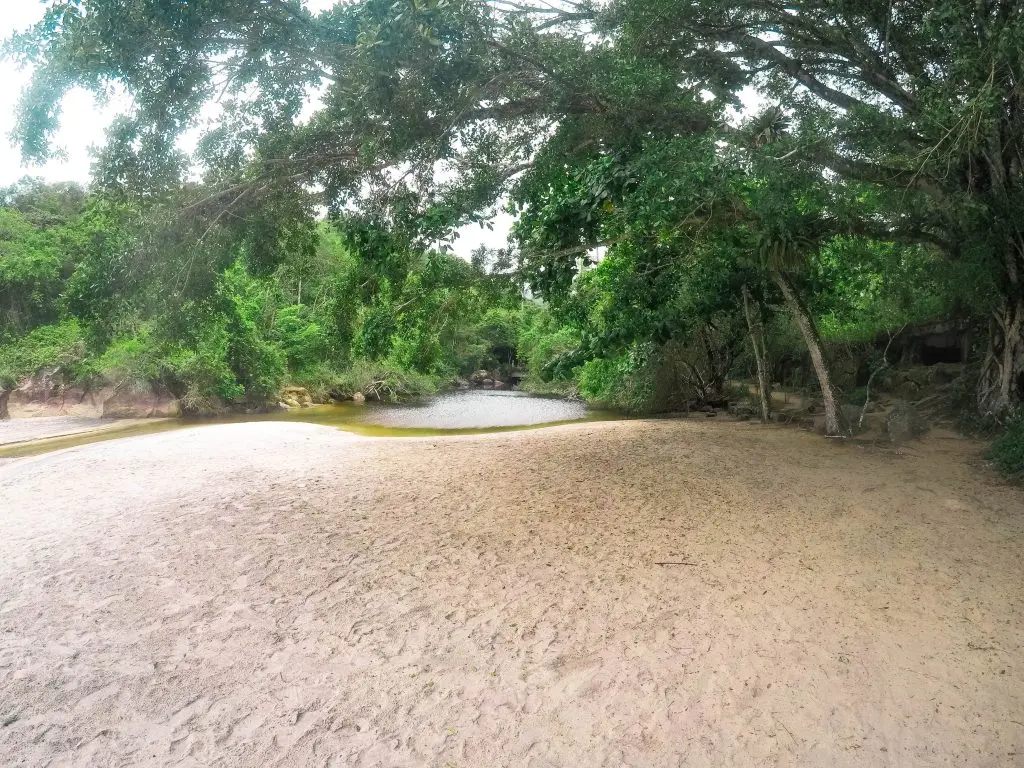 Rio na Praia Preta - Ilha Grande - RJ - Vamos Trilhar-min