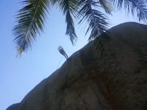 Rapel na Pedra da Tartaruga - Praias Selvagens de Guaratiba - RJ - Vamos Trilhar