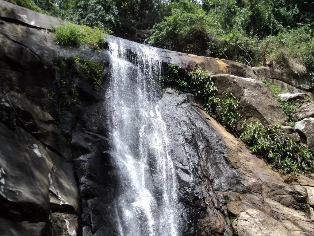 Cachoeira da Feiticeira - Ilha Grande - RJ - Vamos Trilhar