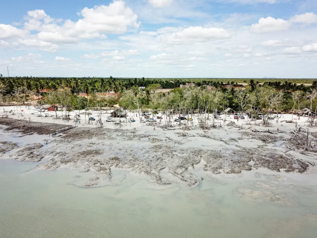 Conheça tudo sobre o Mangue Seco em Jericoacoara - CE - Vamos Trilhar