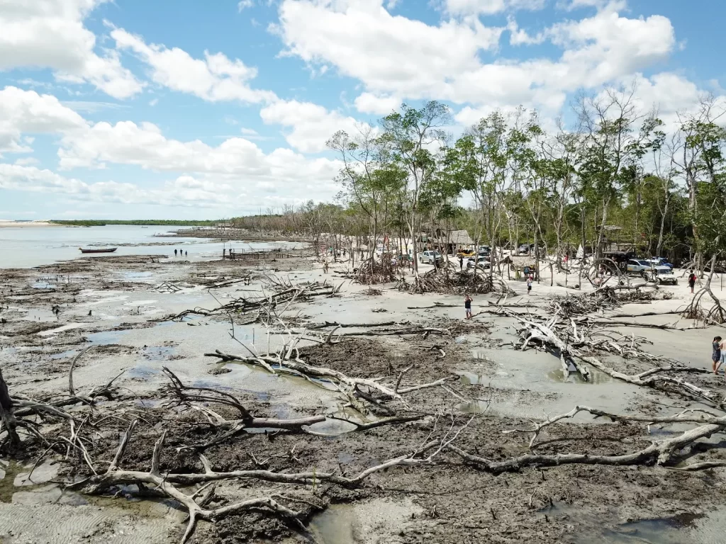 O Mangue Seco em Jericoacoara - CE - Vamos Trilhar